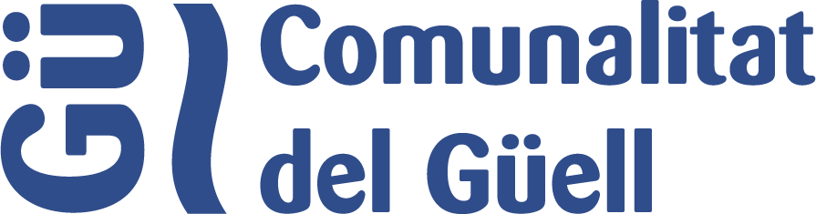 Coordinadora ONG solidàries