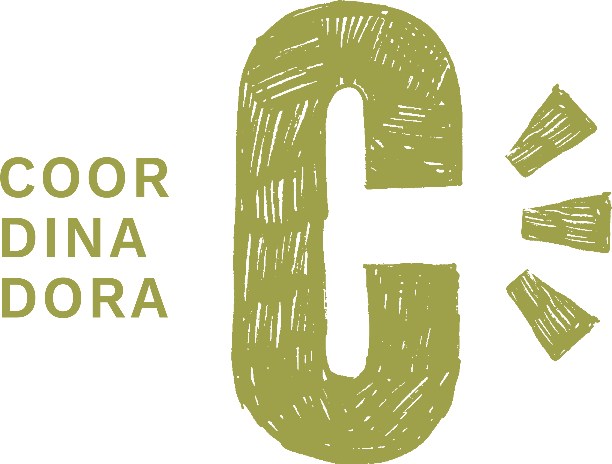 Coordinadora ONG solidàries
